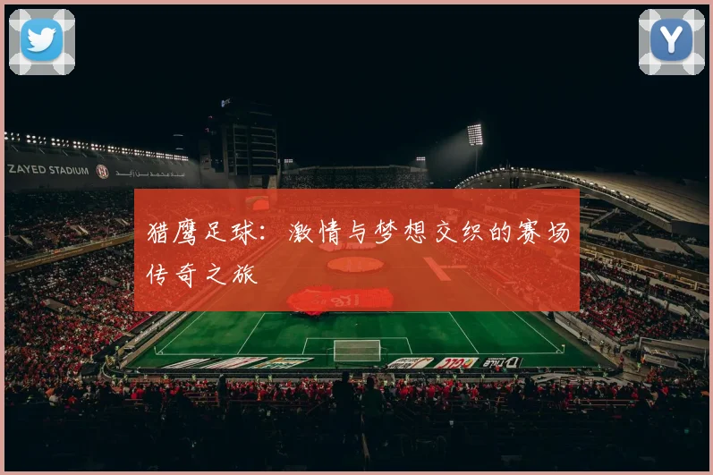 猎鹰足球：激情与梦想交织的赛场传奇之旅