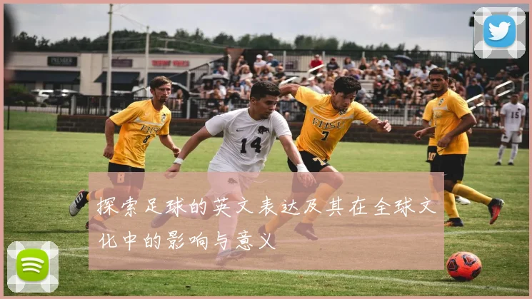 探索足球的英文表达及其在全球文化中的影响与意义
